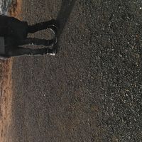 Easy tomaso的照片