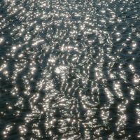 Andre Alfino's Photo