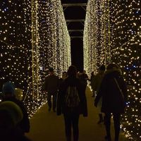 Céline Metz's Photo