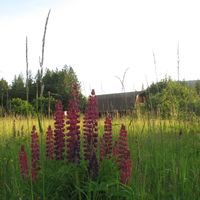 Kristine Unger's Photo