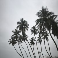 Zdjęcia użytkownika Mohammed Ahmed