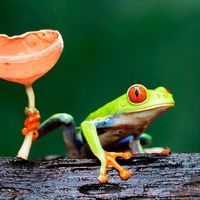 Photos de Fotis Zapanti