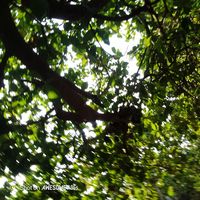 Louise Diedhiou's Photo