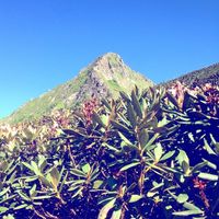 Konstantin Kirsanov的照片