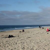 Denis Denis的照片