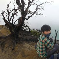 bahtiar  majid's Photo