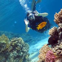 Roman Belfer's Photo