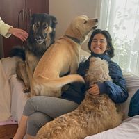 Eva+Kauana C+da+Silva's Photo