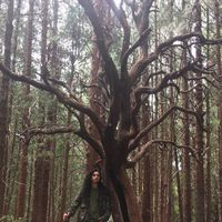 Javier  Brenes's Photo