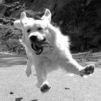 Photos de Diego Gatica Lang