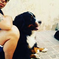 Luca kannelos的照片