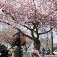 Bernike Samosir's Photo