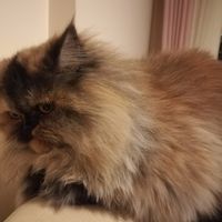 Фотографии пользователя Timuçin Tat