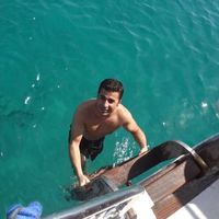 Mesut  Tarlak's Photo