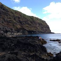 Marta Wrzosek的照片