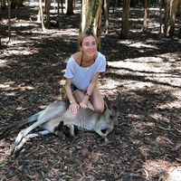 Rosie Vergara Levitt的照片