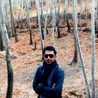 Amir Feizabad's Photo