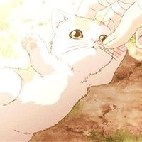 Tran Thanhthuy的照片