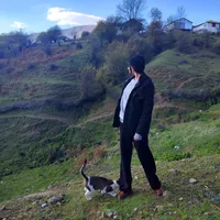 Shiva Faghih的照片