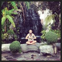 Fréd Rocco Voisin的照片