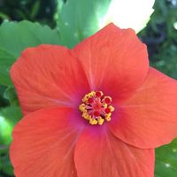 Kas McMaster's Photo