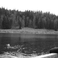 Louise CARDON's Photo