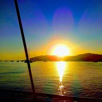 Mark Fisher的照片