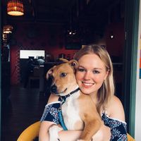 Laura Sophie的照片