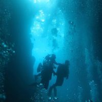 健太 中山的照片