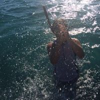 Tea Zlatkovic's Photo