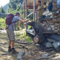 Samuel Beardsell's Photo