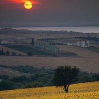 Matthew Dose Brarrs's Photo