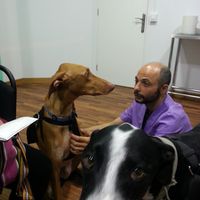 Photos de Vincenzo de Ioanni