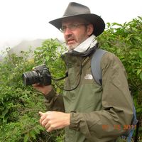 Rolando Artigas's Photo