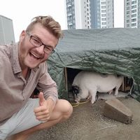 Fotos de König Salomon