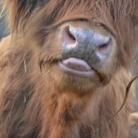 libert isabelle's Photo