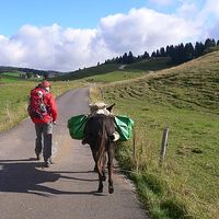 Pia Masurczak的照片