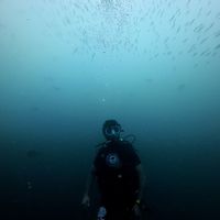 Sagheer Ahmad's Photo