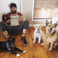 Jeremy Levine的照片