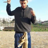 Micha Megged的照片