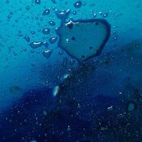 Michael Lelouche's Photo