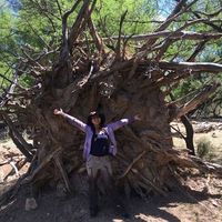 Sheila Solis-Arroyo的照片