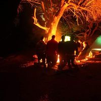 Banani Kamal's Photo