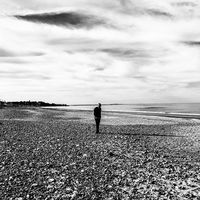 Robert Downs的照片