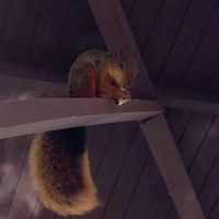 Fotos de Gonzalo Ospina