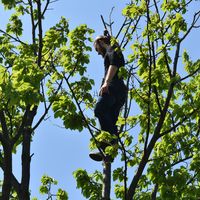 Filip Tomićević's Photo