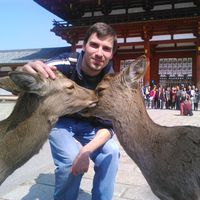 Dániel Firgi的照片