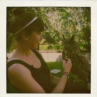 Zdjęcia użytkownika Judith Heid