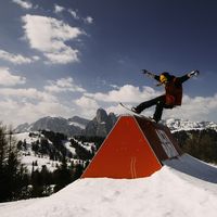 Francine Boer的照片