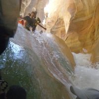 Bara'a Salman的照片